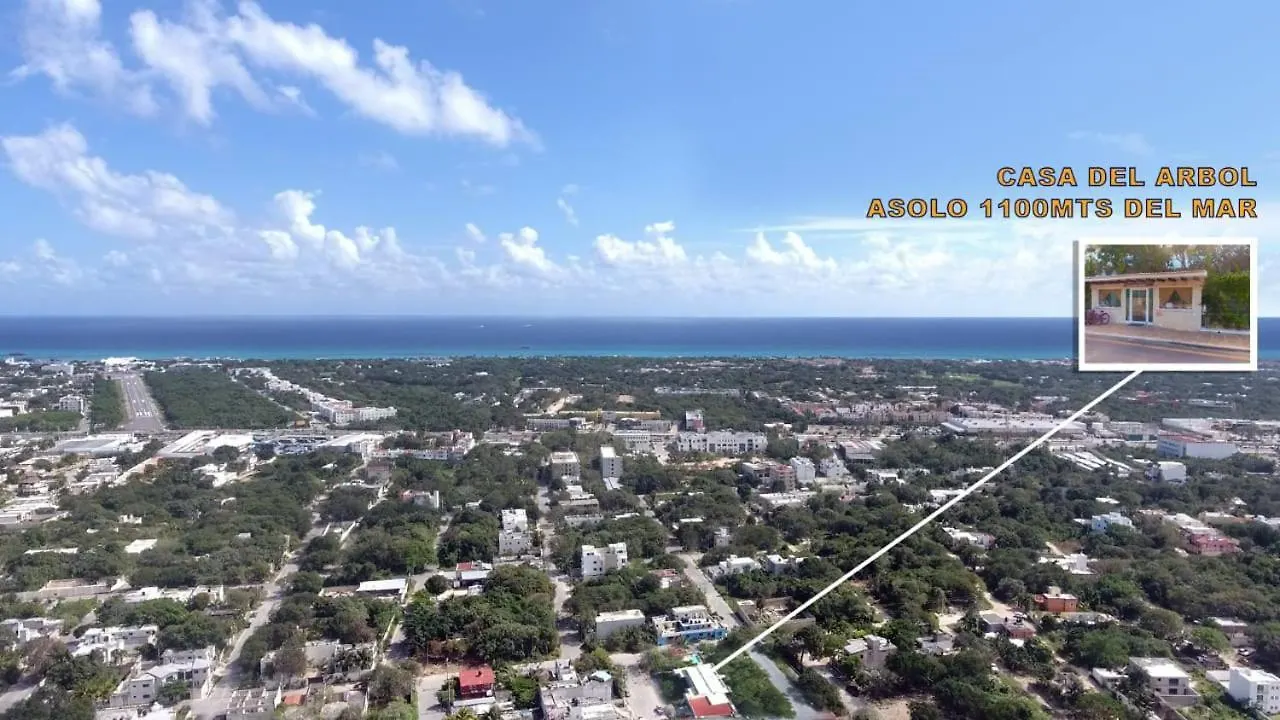 Condo Casa Del Arbol Πλάγια Ντελ Κάρμεν Μεξικό